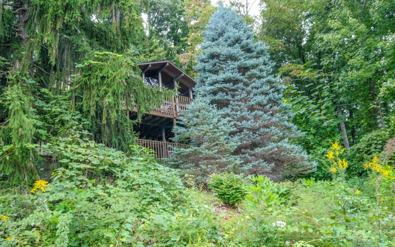 Three Pines 2139 Gatlinburg Exterior foto